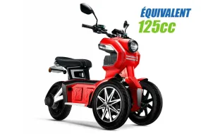 Scooter électrique à trois roues JPB-DO1S